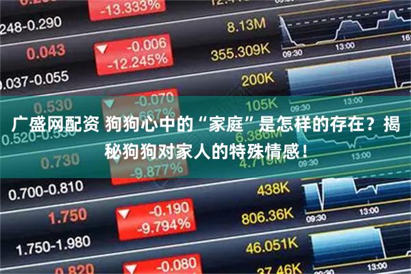 广盛网配资 狗狗心中的“家庭”是怎样的存在？揭秘狗狗对家人的特殊情感！