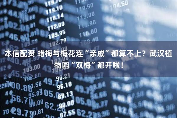 本信配资 蜡梅与梅花连“亲戚”都算不上？武汉植物园“双梅”都开啦！