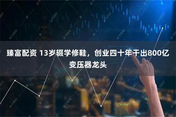 臻富配资 13岁辍学修鞋,创业四十年干出800亿变压器龙头