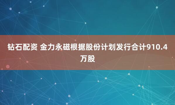 钻石配资 金力永磁根据股份计划发行合计910.4万股